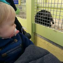 Finally mastering the tractors!