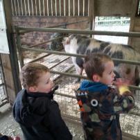 Finally mastering the tractors!