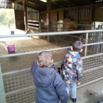 Finally mastering the tractors!