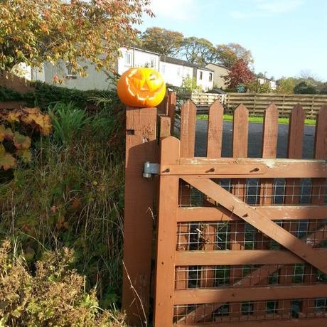 Finally mastering the tractors!