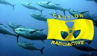 Alaska Fuked Now? Scientists From Alaska Concerned About Fukushima Radiation (Video)