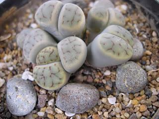 Rediscovering Your Passions: Ideas To Make Your Life Feel Exciting Again Rediscovering Your Passions: Ideas To Make Your Life Feel Exciting Again