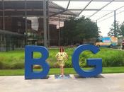 Dallas Sees Results 2013