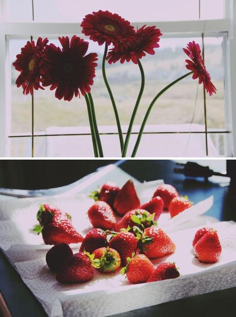 strawberry flowers