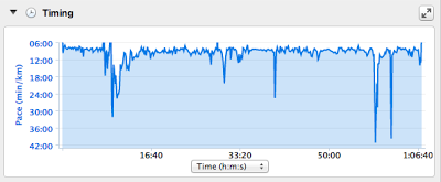 #RunWrimoRun Week One