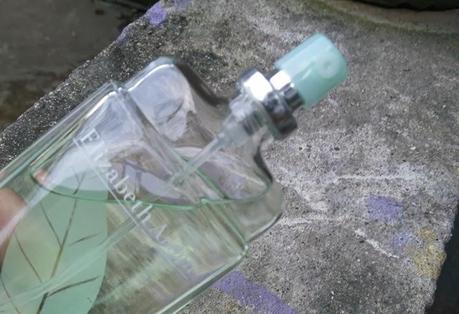 Refreshing Scent by Elizabeth Arden’s Green Tea Scent Spray