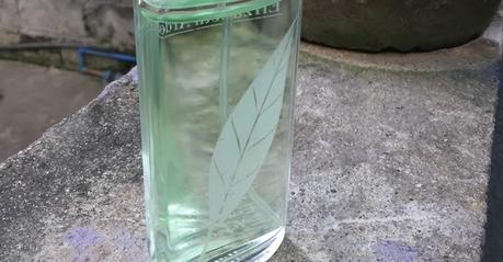 Refreshing Scent by Elizabeth Arden’s Green Tea Scent Spray