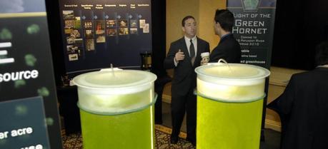 John Bigus, left, a fuels engineer assigned to Naval Air Warfare Center-Aircraft Division in Patuxent River, Md., explains the greening of Navy Fuels at the Naval Energy Forum 2009. Bigus stands in front of a display of camelina and algae fuels and processes for the production of renewable fuels to be tested in Navy ship and aircraft.