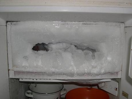 Time to defrost the freezer! Photo by Kate Sheets.