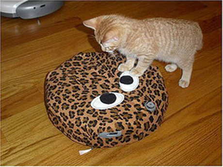 LG HOMBOT Cat Toy