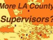 SacBee Columnist Says County Needs More Supervisors