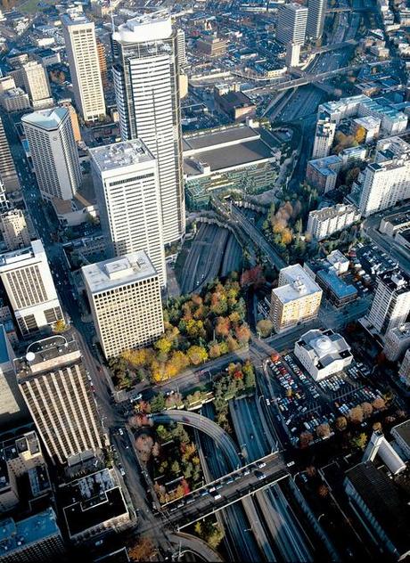 Washington DC aerial landscape