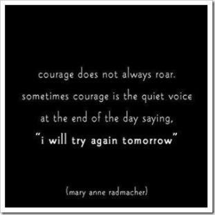 522369_388604667851424_1108814944_n