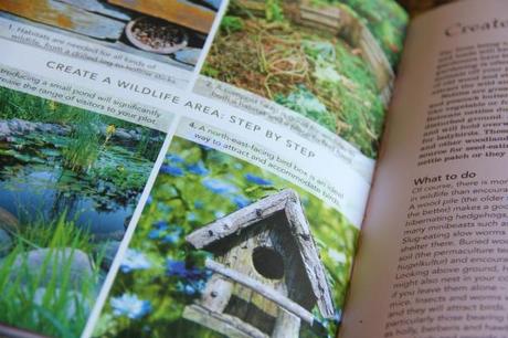 the allotment planner book