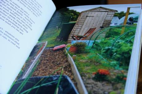 the allotment planner book