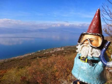 Oscar in Lake Ohrid