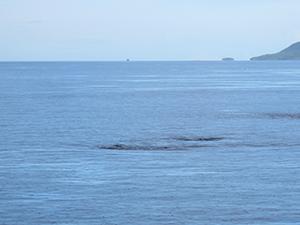 Diving in Rajah Ampat