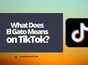 What Does Gato Means TikTok?