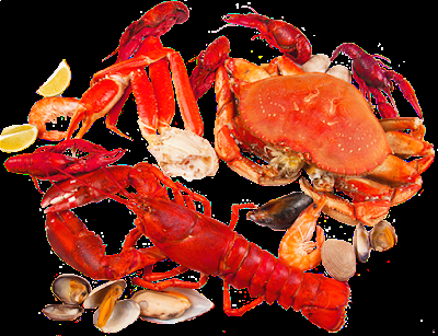Chitosan Market Chitosan is a deacetylated chitin found in the hard outer skeletons or shells of shrimp, crabs, and lobsters, as well as mushrooms and yeasts.