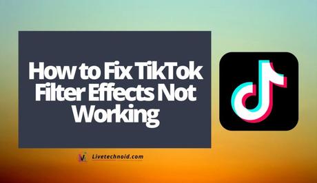 How to Fix TikTok Filter Effects Not Working