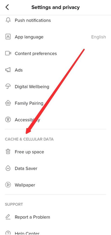 Locate the Cache and cellular data section