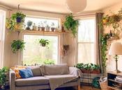 Best Indoor Garden Options Home