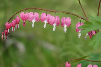 Small Wonders