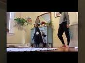 Besrey Lightweight Stroller Review Video