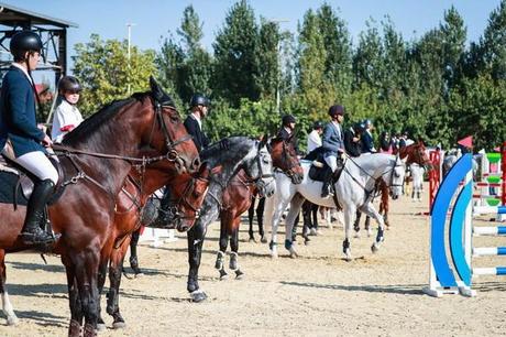 В Ташкенте прошли соревнования по конному спорту
