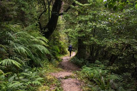 Gillespie Pass Circuit: my favourite hike in New Zealand
