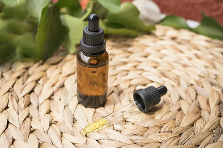 Does Consuming THC Oil Help To Heal Paraplegics?