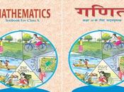 NCERT Solutions Very Important Cases Class 10th Mathematics?