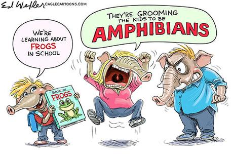 Grooming The Kids