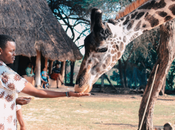 From India Kenya Safari Must Visit Destinations
