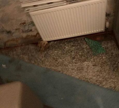 Leaky radiator above water damaged carpet