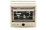 Fahrenheat FUH Electric Heater for Garage, Factory, Basement, Warehouse, and Outdoor Use, Beige