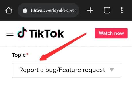 Select the Report a bugfeature request as topic