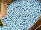 Fertiliser Issue: Seeking Compensation Damages Caused Cultivation