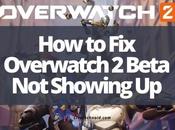 Overwatch Beta Showing