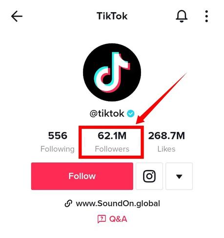 Tap on Followers to see the list of accounts following TikTok