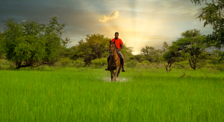 5 Reasons To Visit Botswana During The Green Season