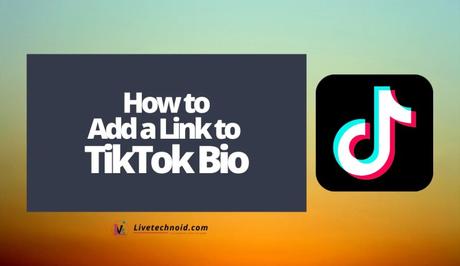 How to Add a Link to TikTok Bio