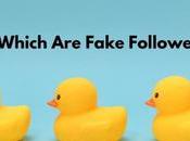 Fake Followers Social Media Ways You’re Fooled Them