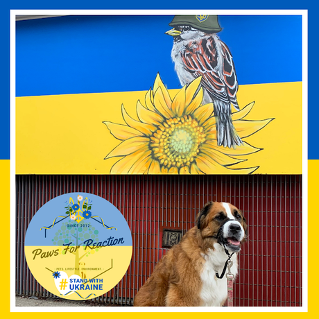 Paws for Ukraine: Fundraiser proudly organized by Trupanion Pet Insurance