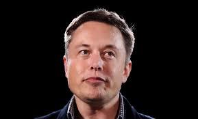 Tech industry aflutter as Elon Musk bags Twitter