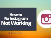 Instagram Working