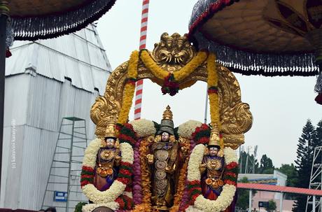 monkeys at Thirumala Tirupathi