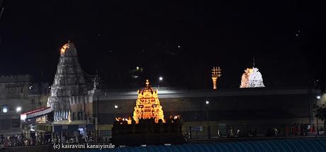 monkeys at Thirumala Tirupathi