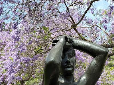 JACARANDA TIME AT THE UCLA SCULPTURE GARDEN, Los Angeles, CA