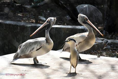 difference of opinion !!